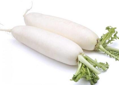 新鮮蔬菜配送:白蘿卜